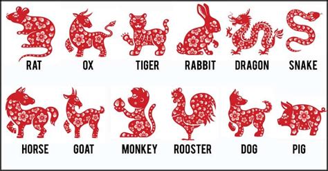 12生效|Chinese zodiac